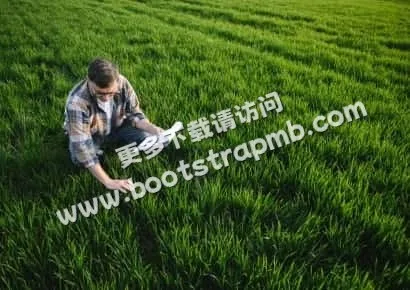 深入探索体育世界 - 虎扑体育社区