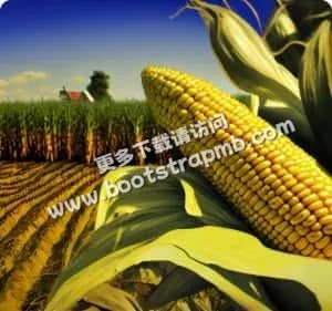 以专业视角，解读体育世界的每一个细节 - 虎扑体育社区
