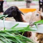 深入探索体育世界 - 虎扑体育社区